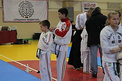 litva_44