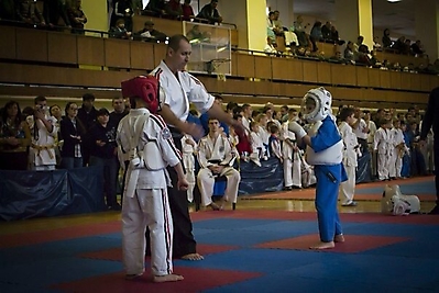 rostovUFO_2