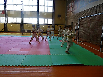 kubokMO2014_2