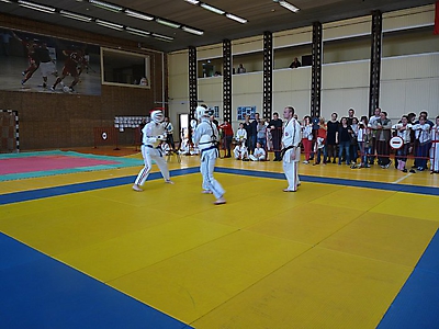 kubokMO2014_27