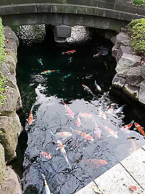 japan_24
