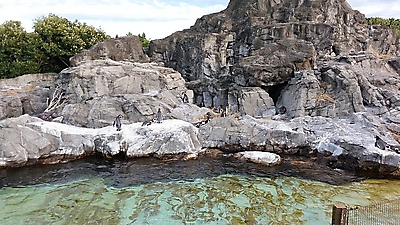 japan_83