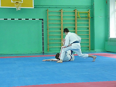 attestat_54