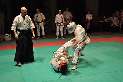 rubcovsk2010_3