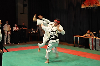 rubcovsk2010_4