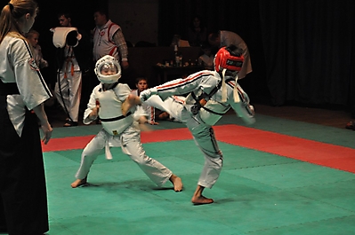 rubcovsk2010_5