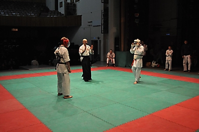 rubcovsk2010_8