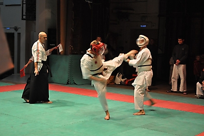 rubcovsk2010_9