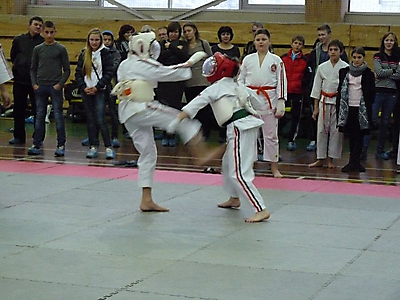 shlse_15