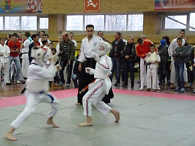 shlse_18