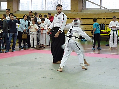 shlse_30