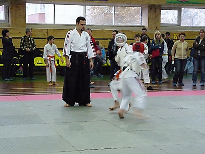 shlse_33