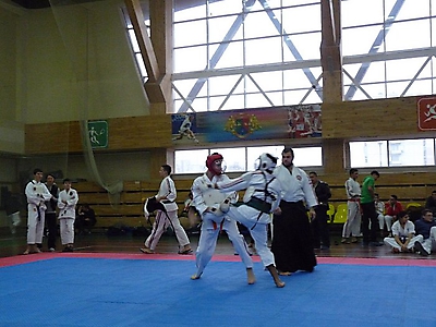 shlse_53